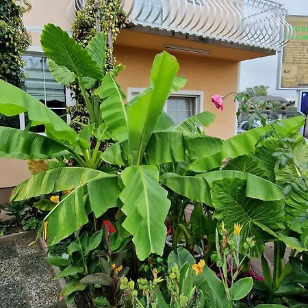 Murko P-1 Appartamento Brest