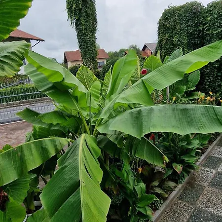 Murko P-1 Апартаменты