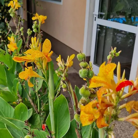 Appartamento Murko P-1 Brest