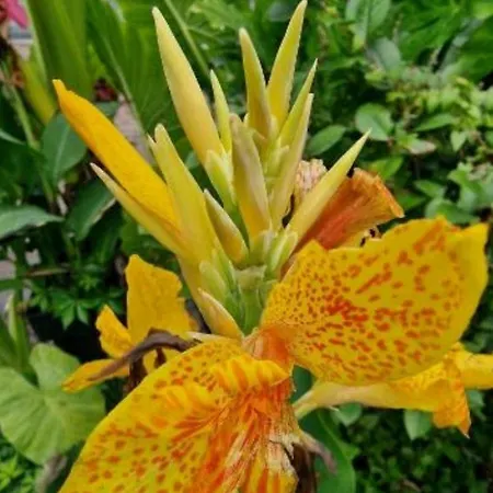 Appartamento Murko P-1