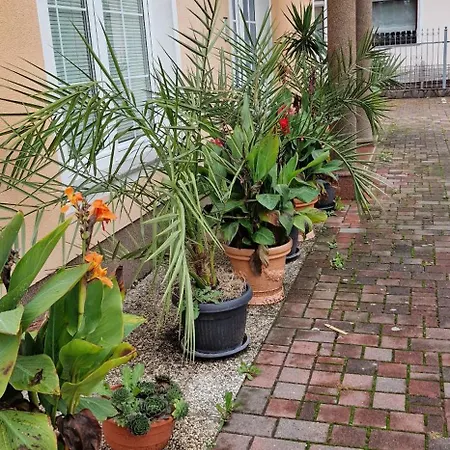 Appartamento Murko P-1