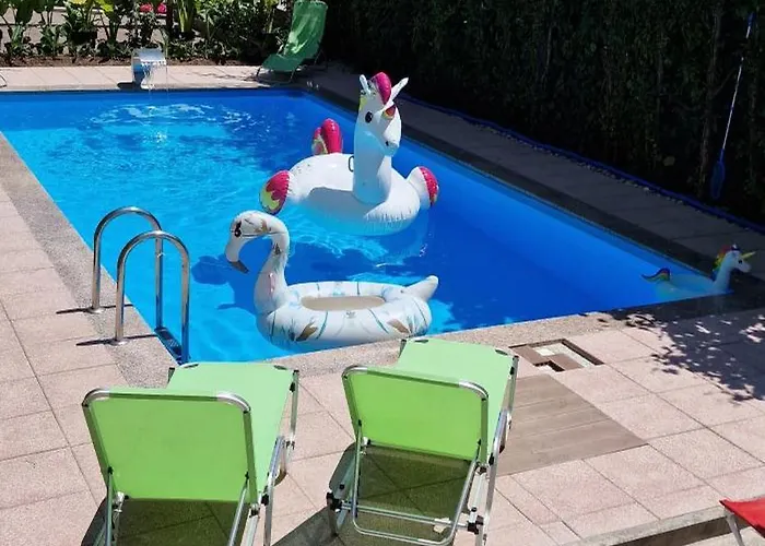 Daire Murko P-1 Brest