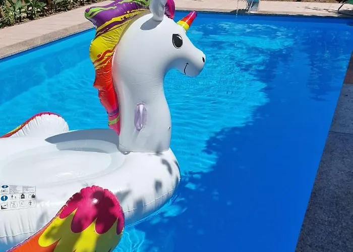 Murko P-1 Daire Brest