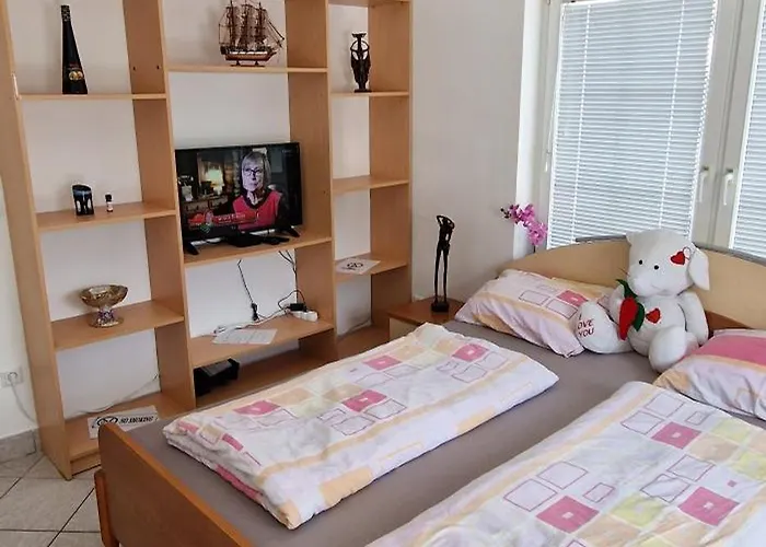 Murko P-1 Daire Brest