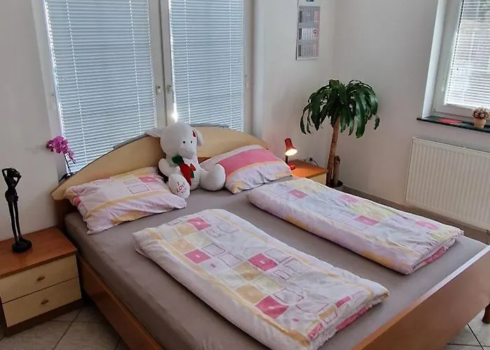 Daire Murko P-1 Brest