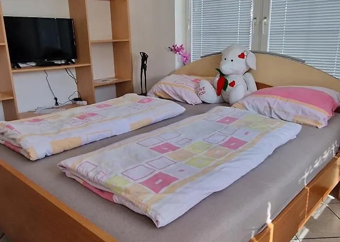 Daire Murko P-1 Brest