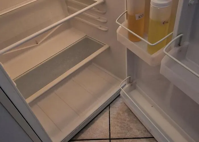 Murko P-1 Daire Brest