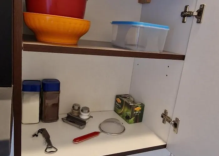 Murko P-1 Daire Brest