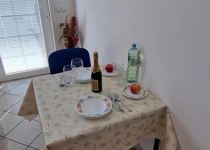 Daire Murko P-1 Brest