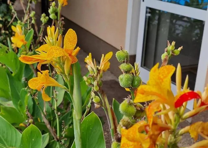 アパート Murko P-1 Brest