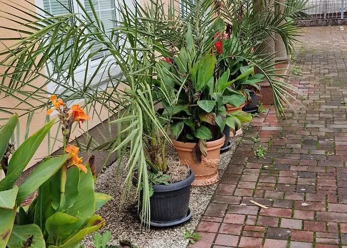 アパート Murko P-1